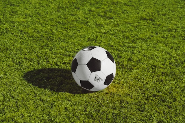 Soccer Ball Colors (Explained!)